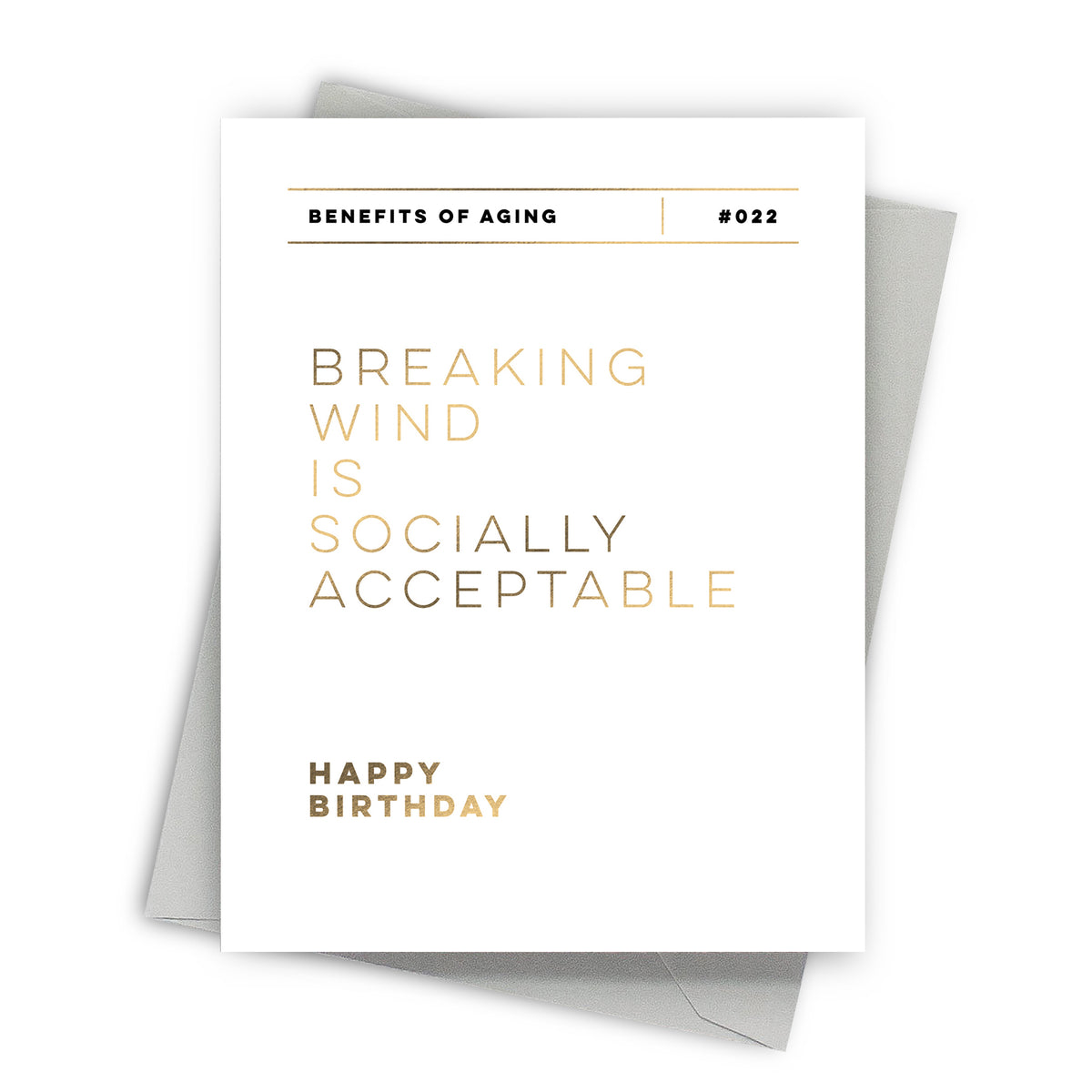 Breaking Wind Birthday Card by Fine Moments