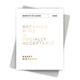 Breaking Wind Birthday Card by Fine Moments